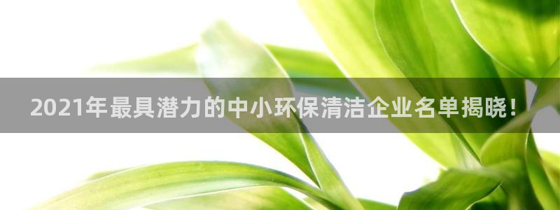 <h1>凯发k8旗舰厅ag顺丰</h1>2021年最具潜力的中小环保清洁企业名单揭晓！
