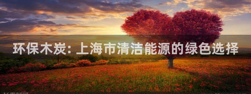 <h1>凯发k8官方网娱乐官方滴滴出行</h1>环保木炭: 上海市清洁能源的绿色选择